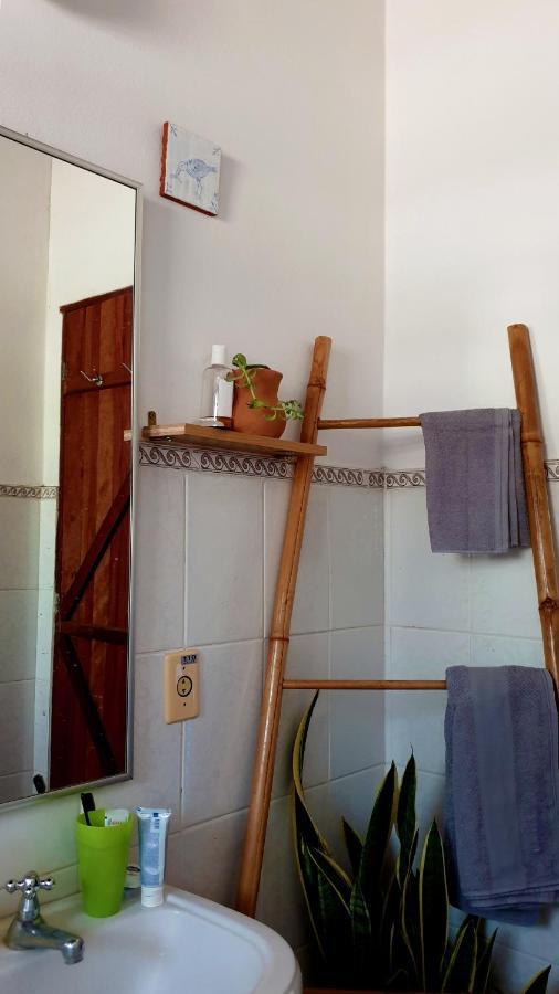 Willa Chacara Artistica Em Socorro-Sp Socorro  Zewnętrze zdjęcie